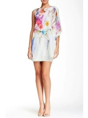 NWT Ted Baker London-Dahnni Sugar Sweet Floral Tunic Dress Multi Color Size0/US2